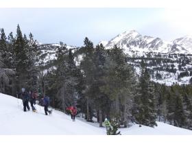 photo coins arrondis