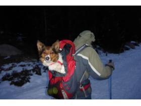 photo coins arrondis