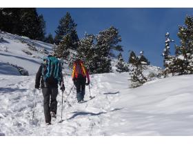 photo coins arrondis