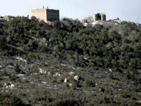 photo coins arrondis