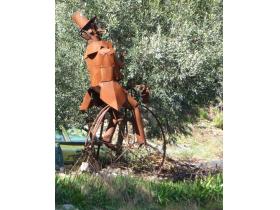 photo coins arrondis