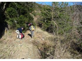 photo coins arrondis