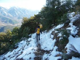 photo coins arrondis