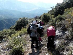 photo coins arrondis