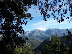 photo coins arrondis