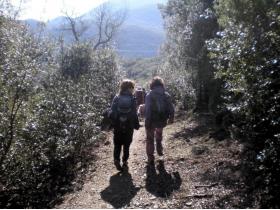 photo coins arrondis