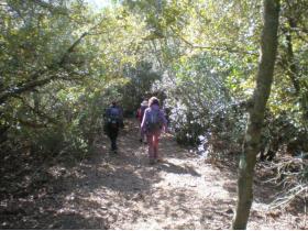 photo coins arrondis