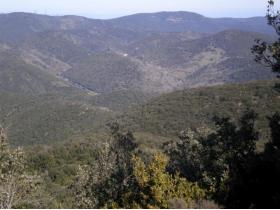 photo coins arrondis