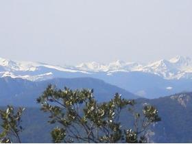 photo coins arrondis