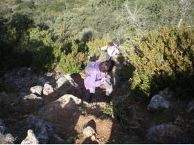 photo coins arrondis