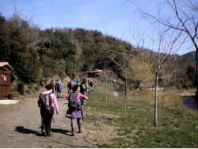 photo coins arrondis