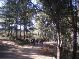 photo coins arrondis