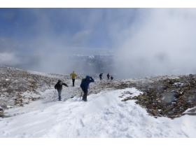 photo coins arrondis