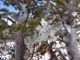 photo coins arrondis