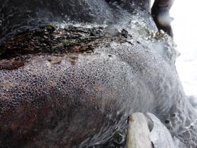 photo coins arrondis