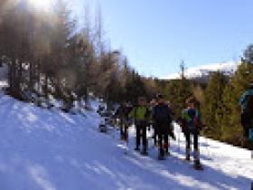 photo coins arrondis