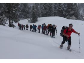 photo coins arrondis