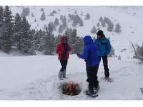 photo coins arrondis