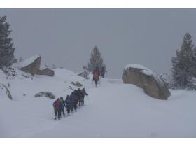 photo coins arrondis