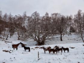 photo coins arrondis