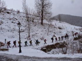 photo coins arrondis