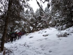 photo coins arrondis