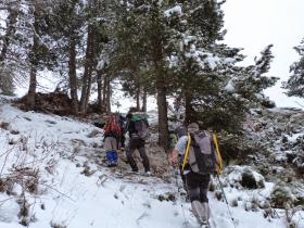 photo coins arrondis