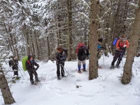 photo coins arrondis