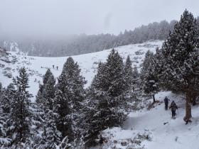 photo coins arrondis