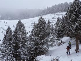 photo coins arrondis