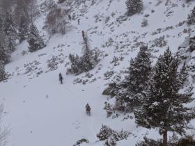 photo coins arrondis