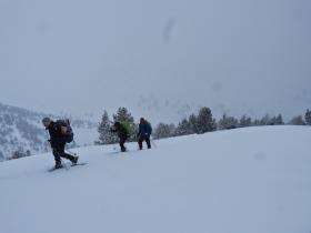 photo coins arrondis