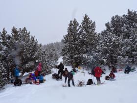 photo coins arrondis