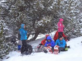 photo coins arrondis