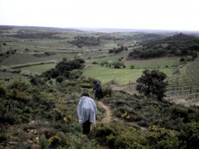 photo coins arrondis