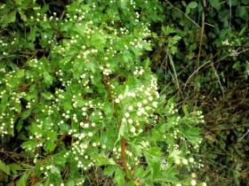 photo coins arrondis