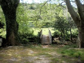 photo coins arrondis