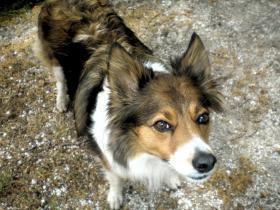 photo coins arrondis