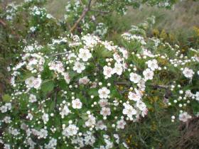 photo coins arrondis