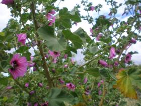 photo coins arrondis