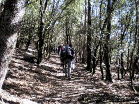 photo coins arrondis