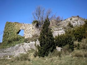 photo coins arrondis