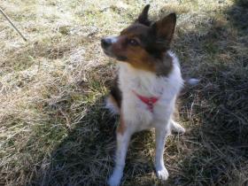 photo coins arrondis