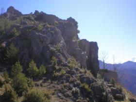 photo coins arrondis