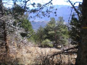 photo coins arrondis