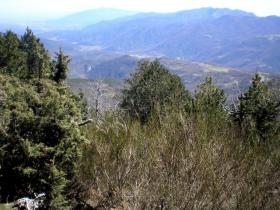 photo coins arrondis