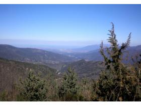 photo coins arrondis