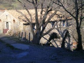 photo coins arrondis