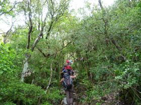 photo coins arrondis