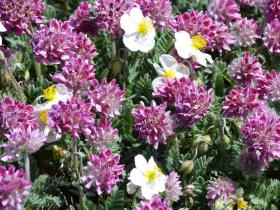 photo coins arrondis